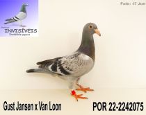 POR 22-2242075